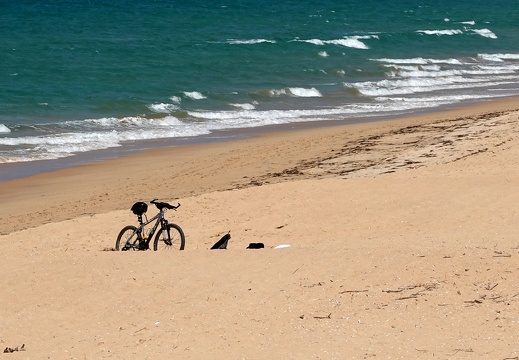 Sandalgarve-05-23-306