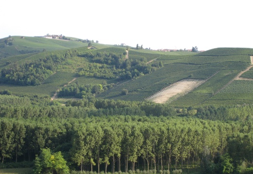 Piemont-08-2008-040