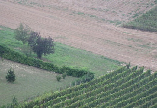 Piemont-08-2008-046