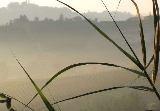 Piemont-08-2008-059